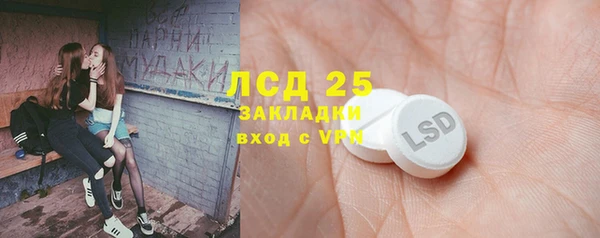 молекула духа Заволжье