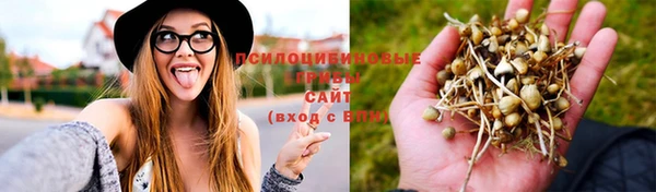 гидропоника Елизово