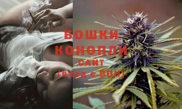 гидропоника Елизово