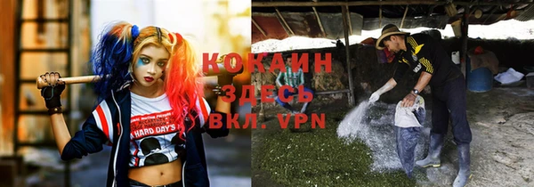 молекула духа Заволжье