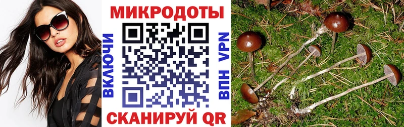 Псилоцибиновые грибы GOLDEN TEACHER  нарко площадка клад  Сибай 