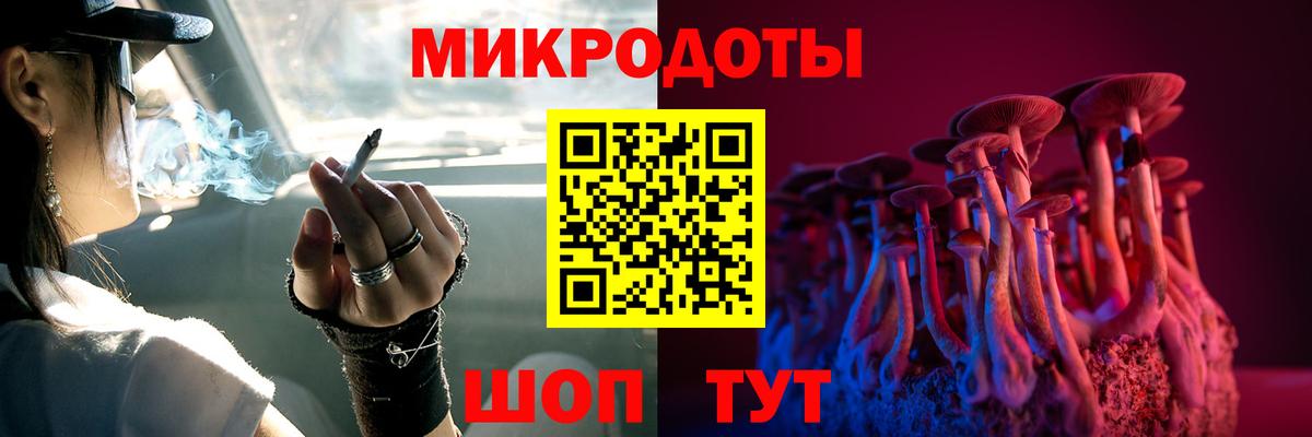 Псилоцибиновые грибы Psilocybe Сибай